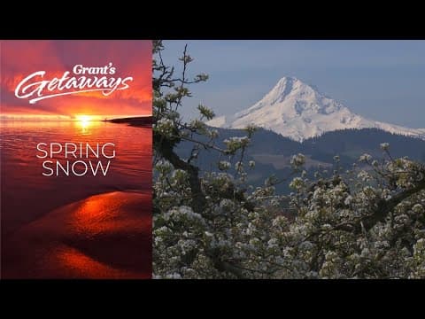 After winter, Oregon's Hood River Valley offers a glimpse of springtime 'snow'