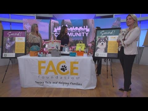 FACE Foundation Hosts 13th Annual Bags & Baubles on April 28