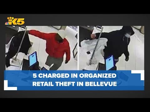 5 charged in organized retail thefts of over $17k in Nordstrom merchandise in Bellevue