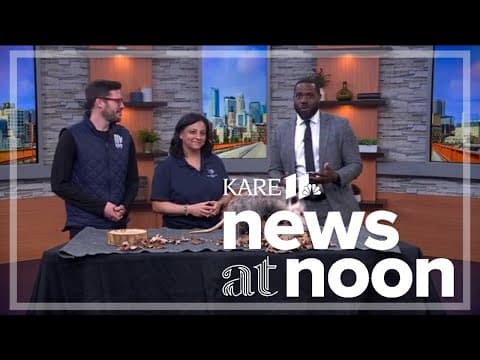 Celebrate winter at the Minnesota Zoo