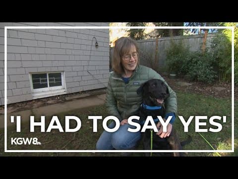 Portland residents open homes to dogs displaced by deadly Southern California fires