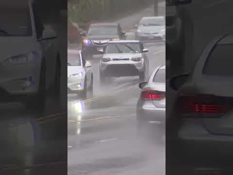 Man who allegedly strangled Bellevue officer appears in court