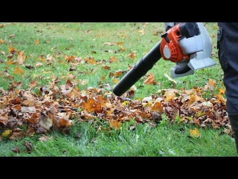 Falling leaves could cost you big on car repairs