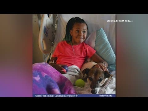 The science behind the connection between a human and a dog | Working FUR Kids