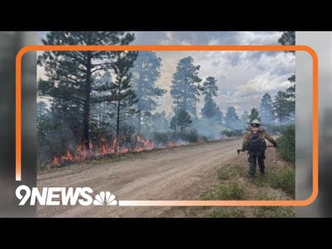 Man accused of starting wildfire near Nucla pleads guilty