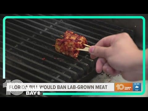 Florida bill would ban lab-grown meat