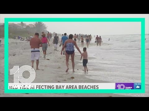 Red tide continues to cause issues at select Tampa Bay-area beaches