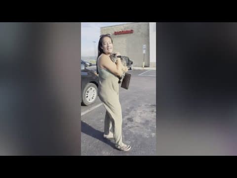 Family's cat hitches a ride on top of the family car, riding 100 miles
