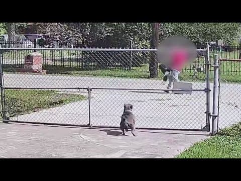 Suspected kidnapping caught on video in Harris County now being investigated as human trafficking