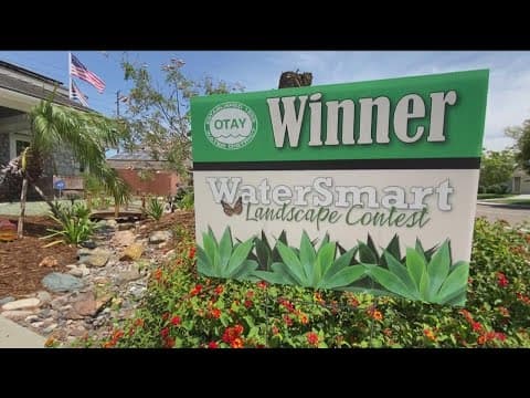 How to create and maintain a water-efficient yard during a drought