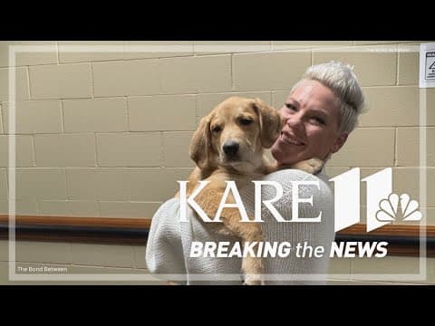 P!nk 'foster fails' after falling in love with Minneapolis puppy