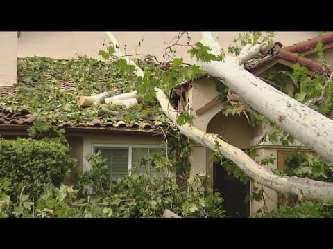 Clean-up underway in San Diego after Tropical Storm Hilary