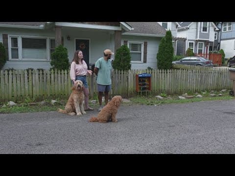 Nashville couple creates 'doggie stick library' for TN pups