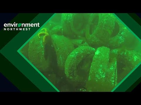 Department of Natural Resources cleaning up after failed artificial reef experiment