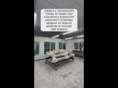 DMNS Triceratops fossil includes a skull, lower jaw and ribs