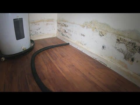 Ordinance set to hold slumlords accountable and protect tenants