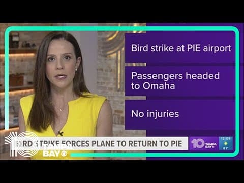 Bird strike forces Allegiant flight to return to PIE shortly after its departure