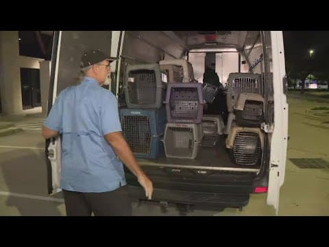 Houston SPCA providing disaster relief to SPCA Tampa Bay in wake of Hurricanes Helene, Milton