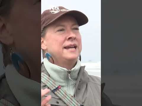 Woman has up close octopus encounter at Cannon Beach