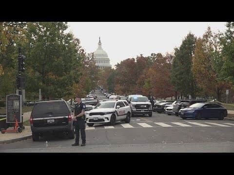 Capitol Police tase Georgia man with long gun near US Capitol