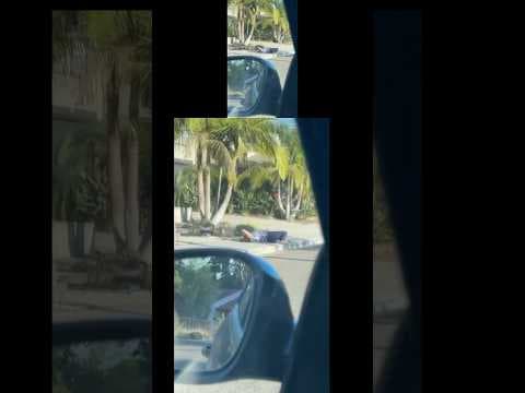 Grandparents, children stung by hundreds of bees in San Diego