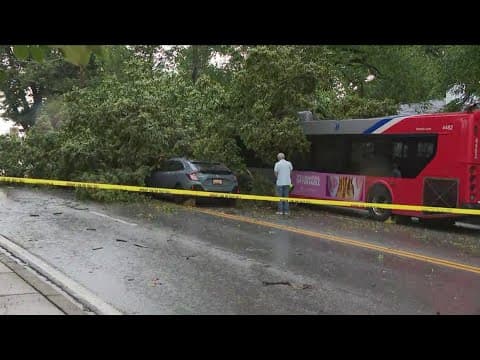 Tree falls onto Metrobus, car in Bethesda