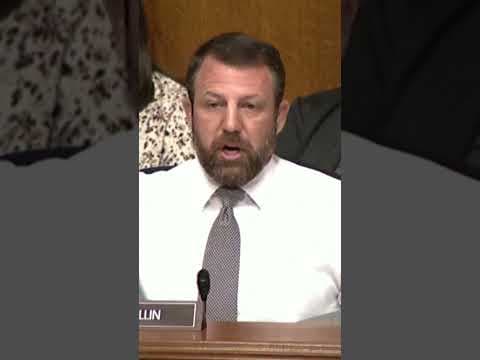 Senator challenges witness to fight during hearing