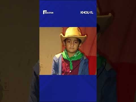 Mother describes terrifying scene after 7-year-old son hit in head by stray bullet