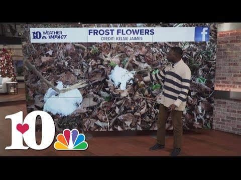 Weather Wednesday: Frost Flowers