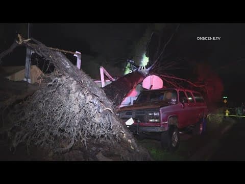A 70-foot pine tree falls on a house and SUV in North Park Friday morning