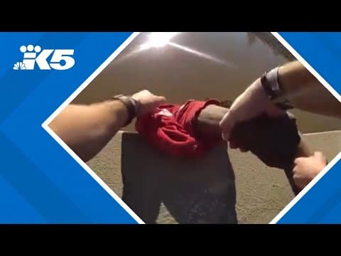 Bodycam shows officer catch man seconds before falling off bridge