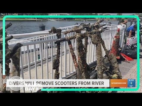Divers to remove e-scooters, bikes dumped in Tampa's Hillsborough River