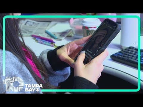 Judge halts challenge to age verification law in Florida