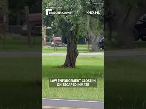 Brazoria County escape: Video captures law enforcement closing in on escaped inmate