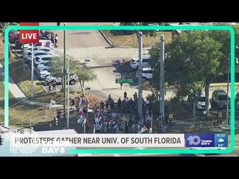 Pro-Palestinian protesters gather outside University of South Florida