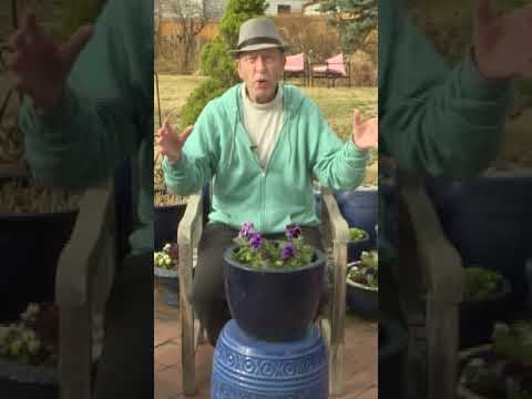 Do not wait until after Mother's Day to start planting