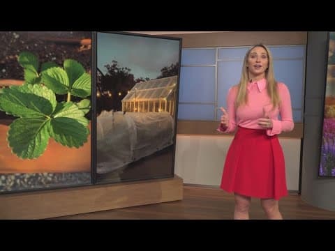 Is it too early to start planting again?