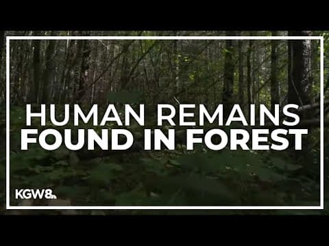 Human remains discovered in Washington’s Gifford Pinchot National Forest