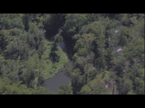 Chesapeake Bay's so-called dead zone to be larger than average this year
