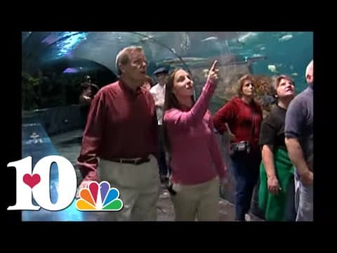 WBIR Vault - Monday's Child - Whitney (2006)