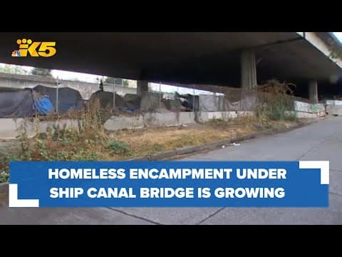 Homeless encampment under Ship Canal Bridge is growing