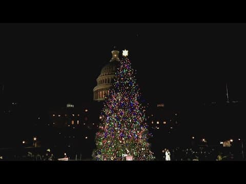Capitol Christmas tree lighting ceremony shined bright and stood tall | The Night Cap