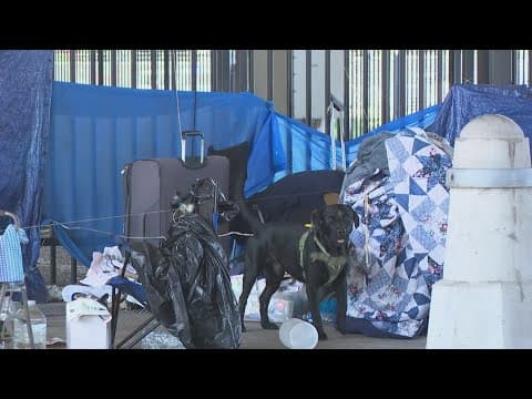Homeless sweeps continue ahead of Taylor Swifts concerts in New Orleans