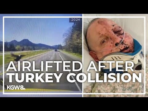 Turkey crashes through semi-truck driver’s windshield, strikes him in face