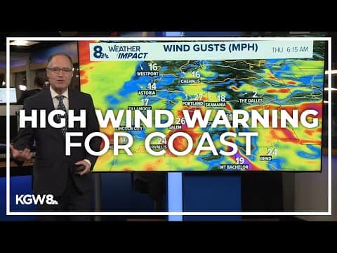 Wind and steady rain prompts Weather Impact Alert Day for Tuesday evening into Wednesday morning