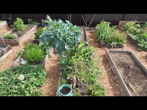 Studying the cellular life of plants in 3D