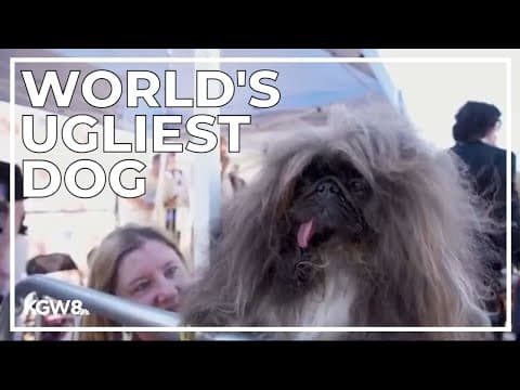Oregon dog wins "World's Ugliest Dog" competition