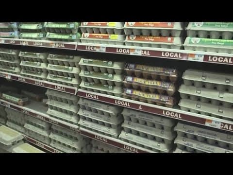 Some stores limit purchases on fresh eggs amid shortages