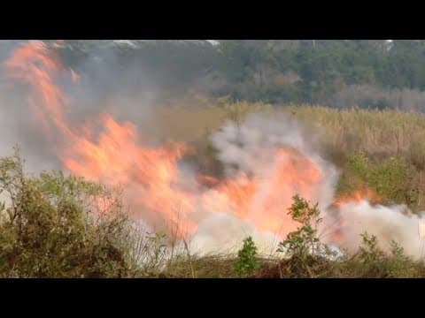 Slidell marsh fire | Dec. 22, 2023