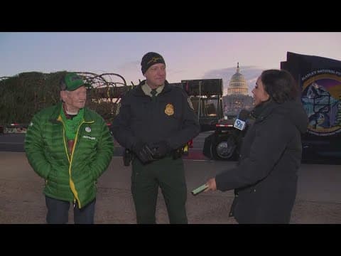 Capitol Christmas tree arrives in DC